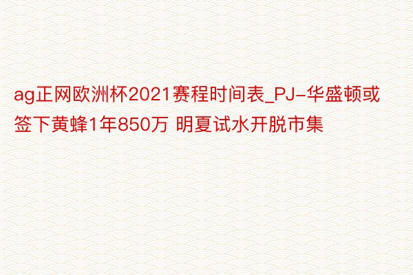 ag正网欧洲杯2021赛程时间表_PJ-华盛顿或签下黄蜂1年850万 明夏试水开脱市集