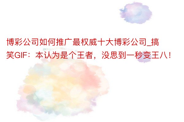 博彩公司如何推广最权威十大博彩公司_搞笑GIF：本认为是个王者，没思到一秒变王八！